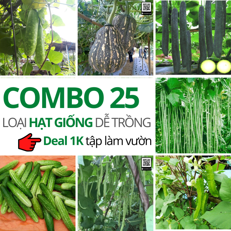 Combo 25 loại hạt giống rau củ quả dễ trông trong Chương trình Deal 1K - Tập làm vườn cùng Tạ Gia Trang