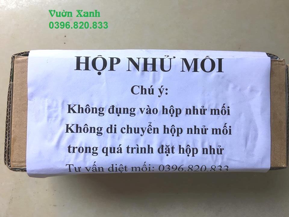 Hộp nhử mối