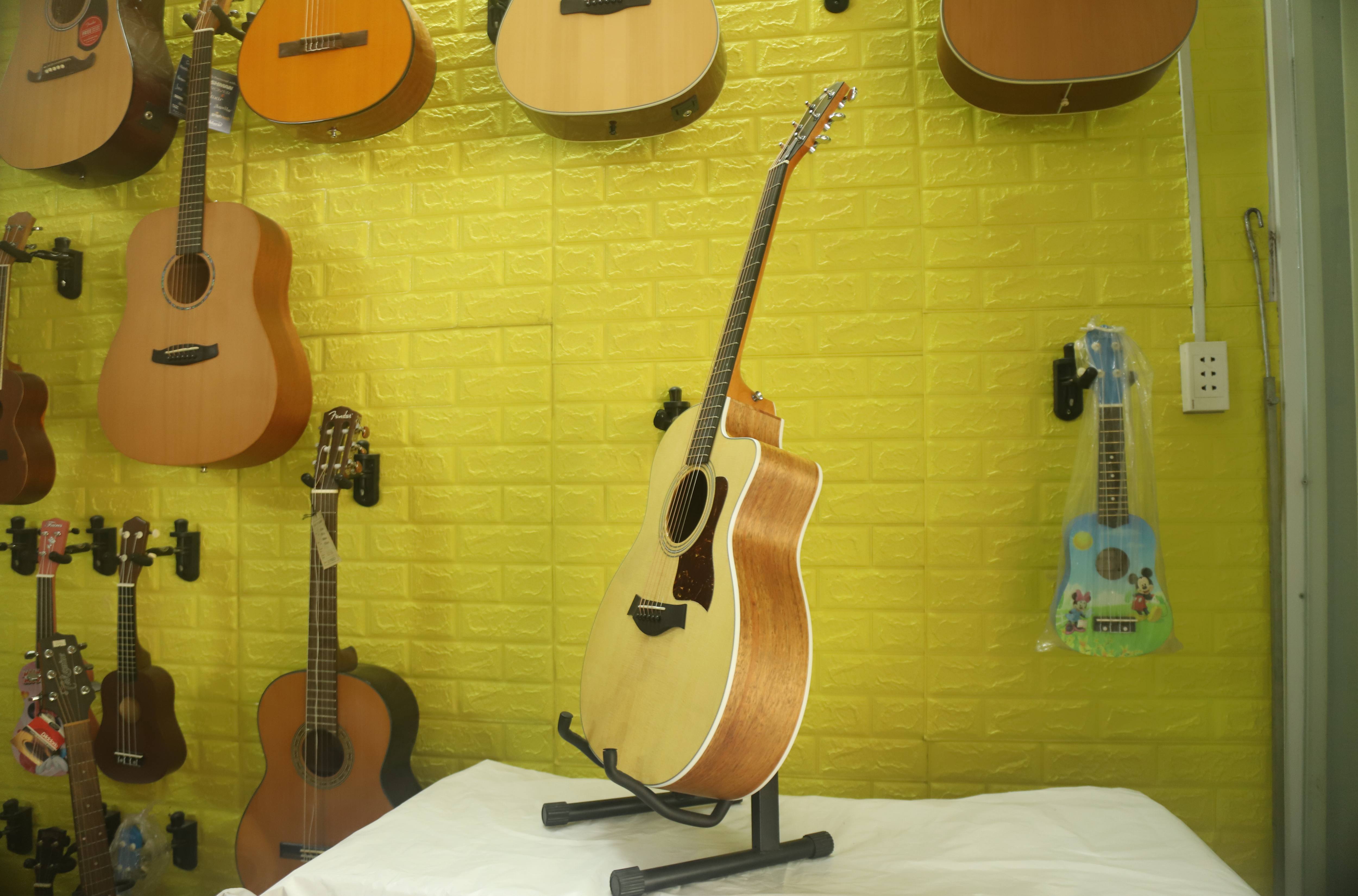 Đàn Guitar Taylor 214CE