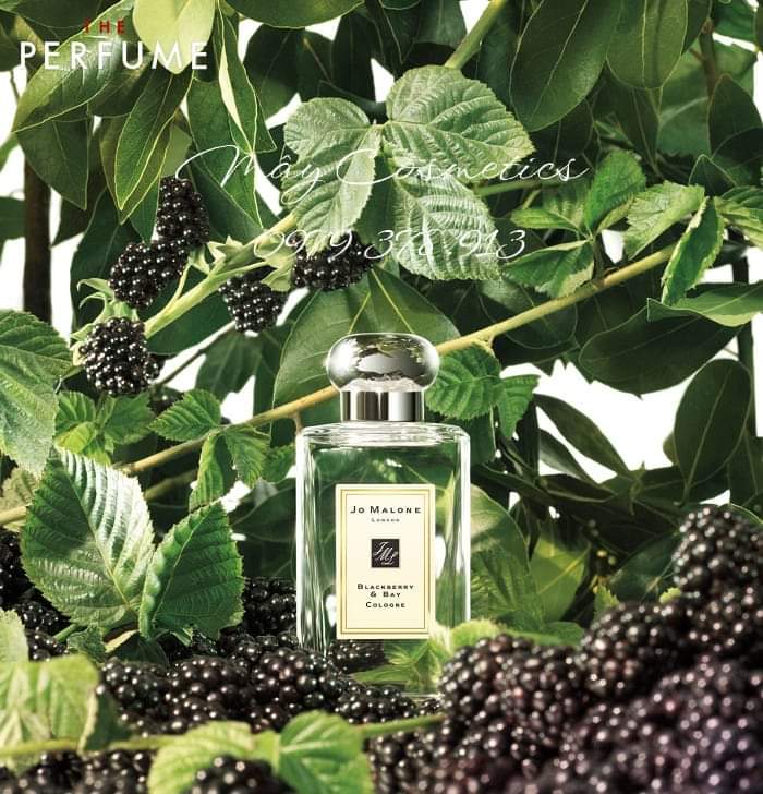 [Auth] Nước Hoa Jo Malone Blackberry & Bay Cologne (chiết 10ml - 20ml)