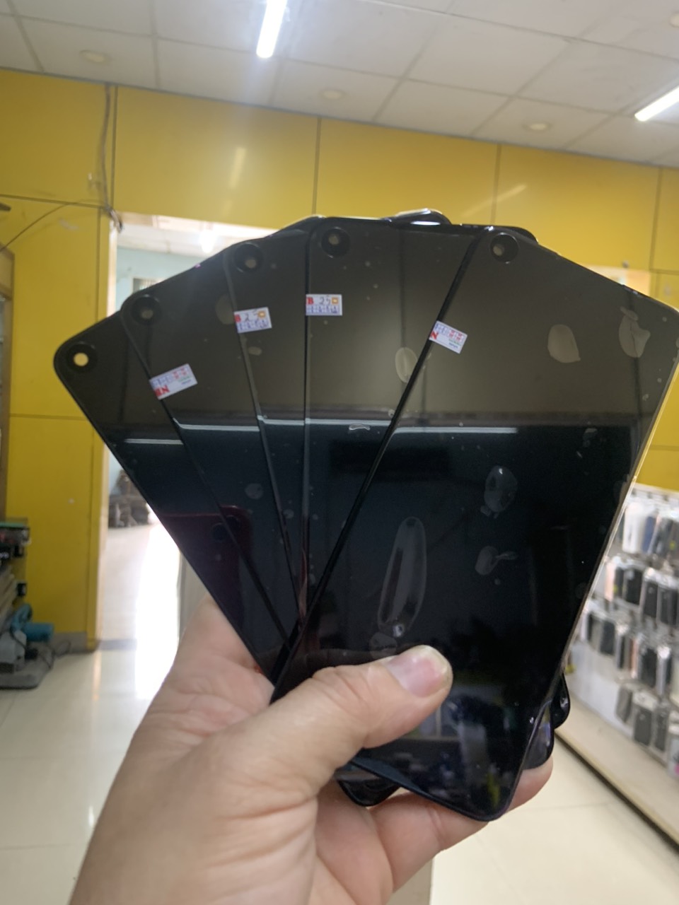 Màn hình oppo A52/A72/A92 zin new
