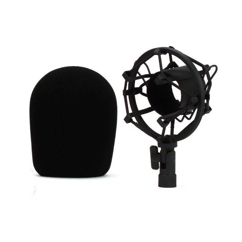 Micro condenser phòng thu chuyên nghiệp Behringer B-2 Pro