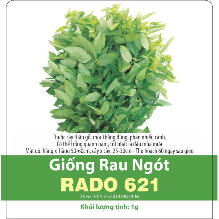 HẠT GIỐNG RAU BỒ NGÓT DỄ TRỒNG 1 GRAM