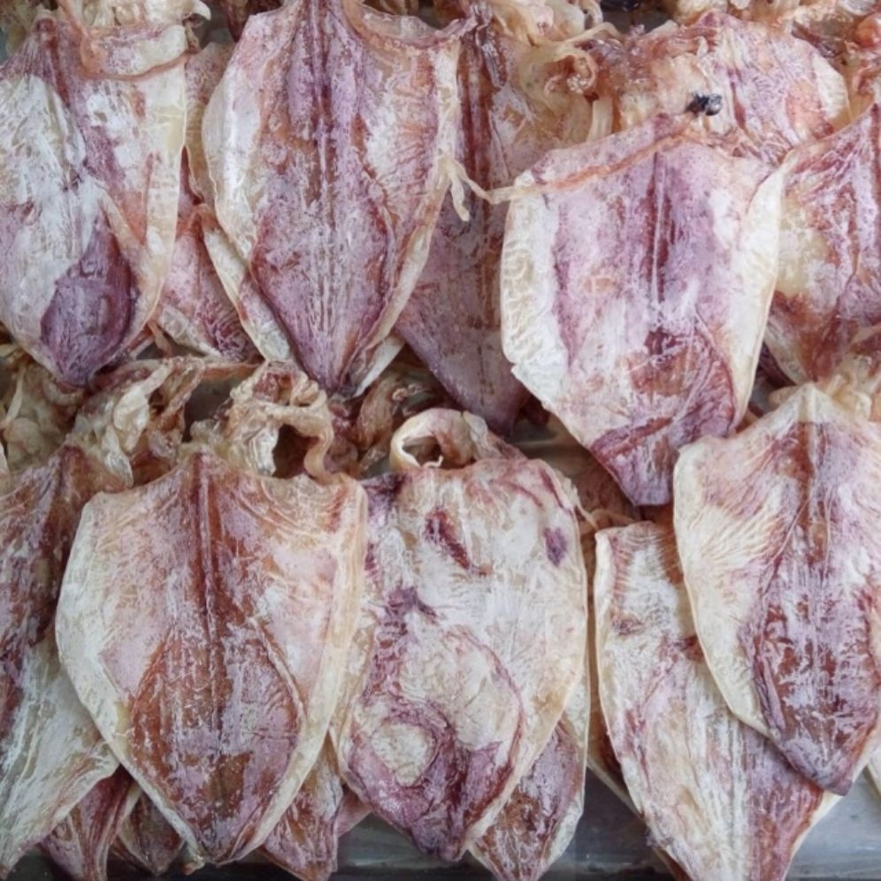 30 Con mực khô mini