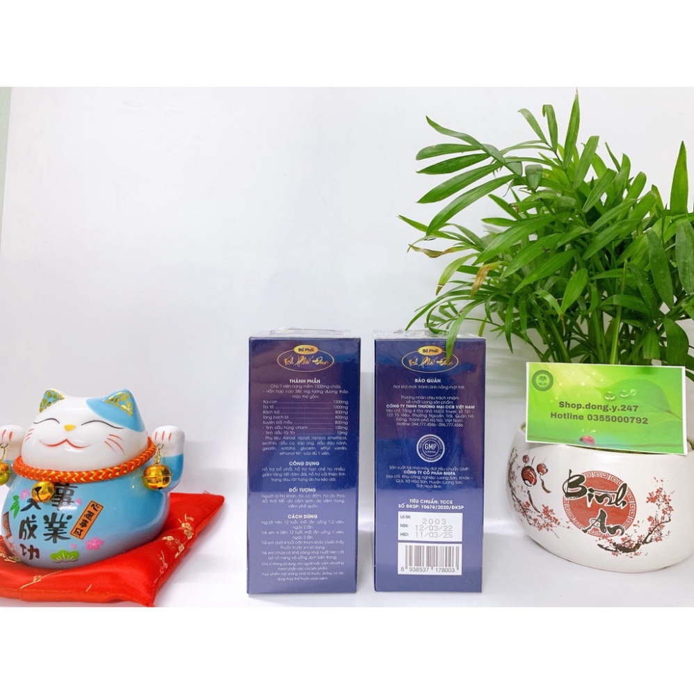 ✅ Bổ phổi ích phế đan hộp 60 viên