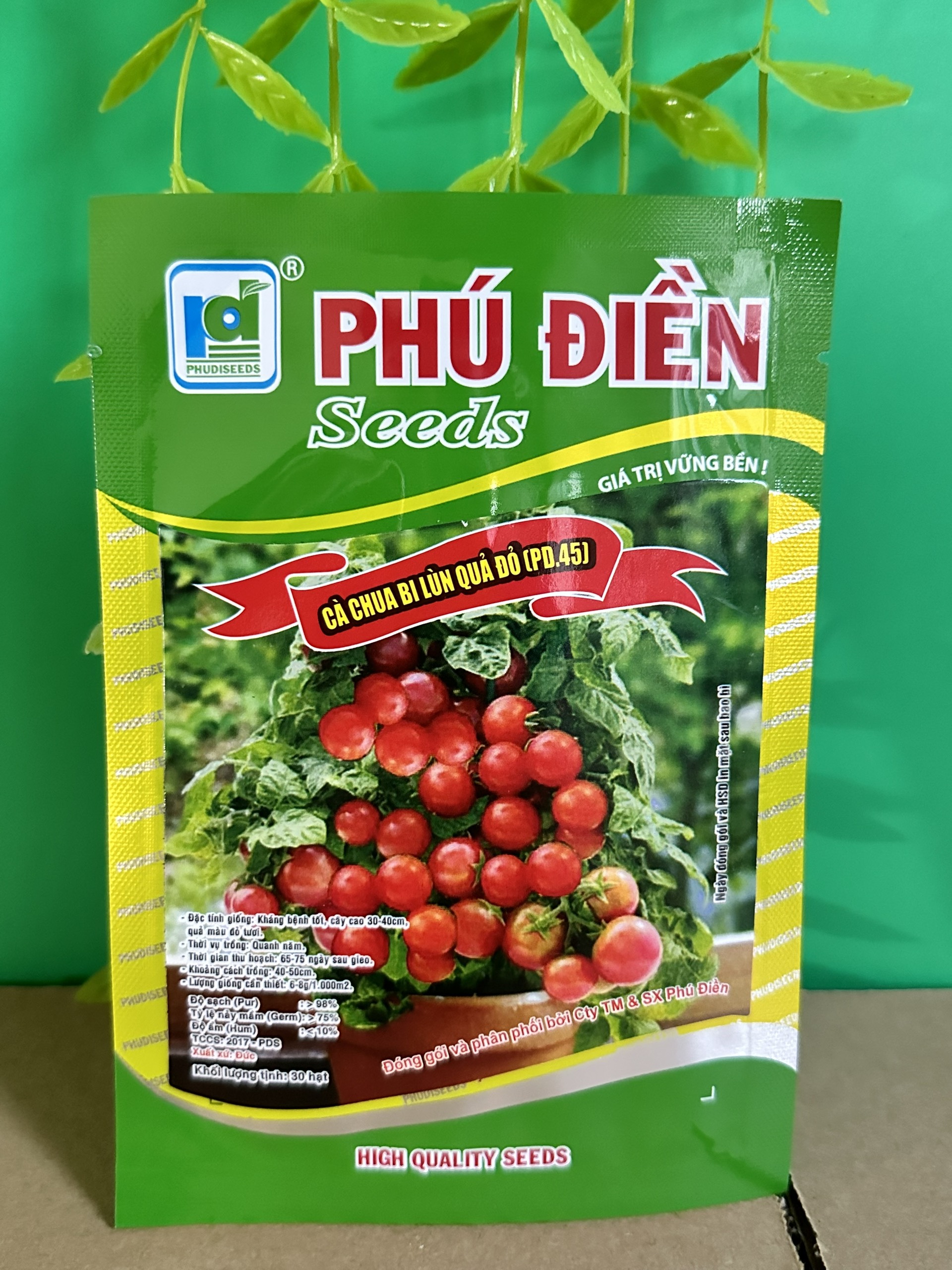Hạt giống cà chua bi lùn quả đỏ PD 451
