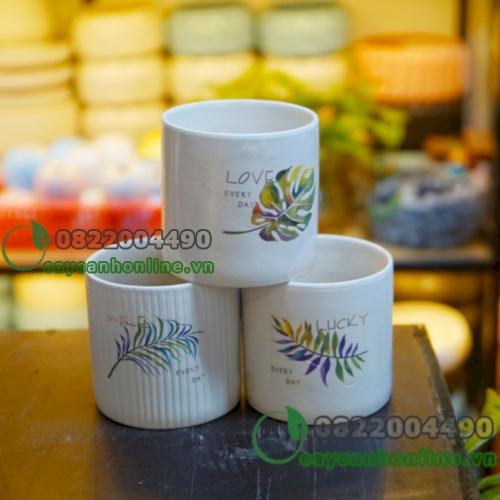 Chậu trụ in hình - Chậu trồng cây để bàn cây mini cây nội thất cây phong thủy cây văn phòng
