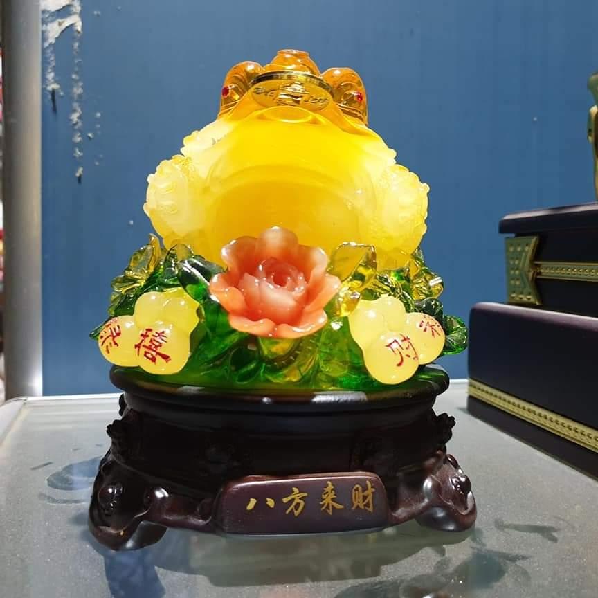 Cóc vàng ngậm tiền phong thủy cao 19 cm rẻ nhất thị trường