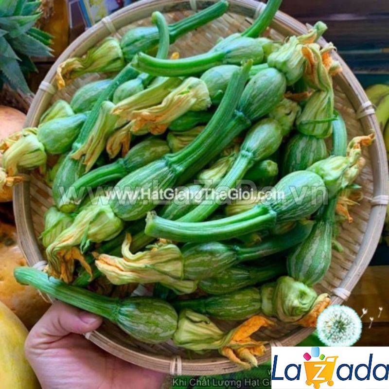1Gr Hạt Giống Bí Siêu Nụ (A5.103| A5*W61*M022)