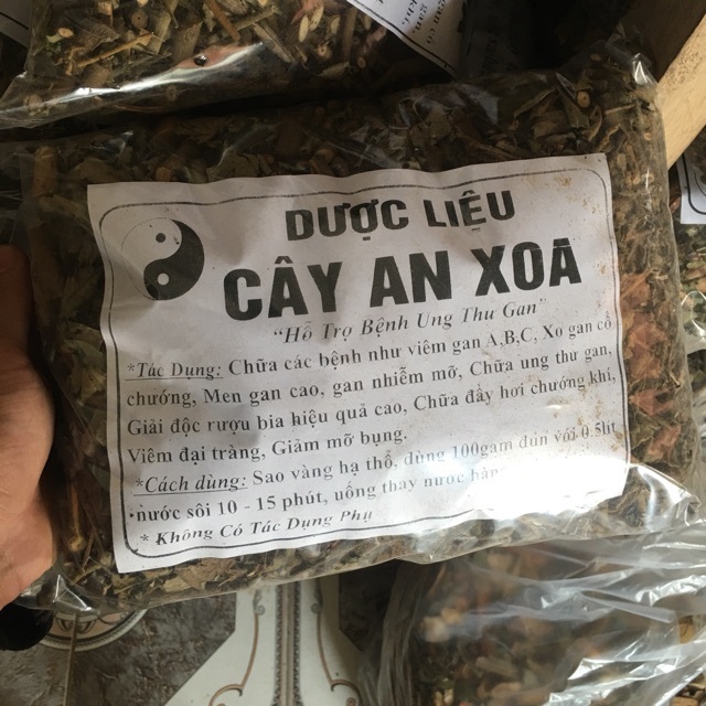 cây an xoa sấy khô