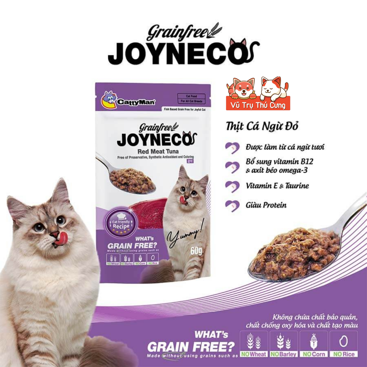 Pate Catty Man Joyneco cho Mèo gói 60g