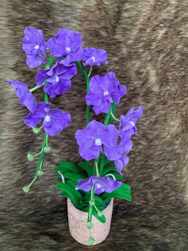[HCM]Chậu hoa lan Vanda đất sét size trung