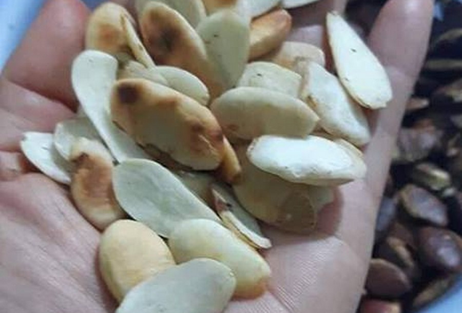 500G HẠT KƠ NIA ĐÃ TÁCH VỎ