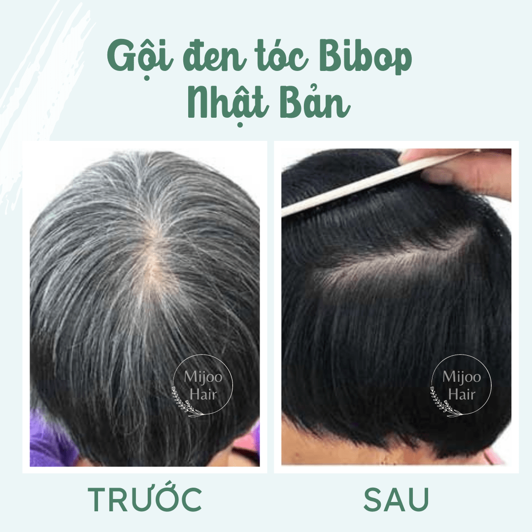 Dầu Gội Phủ Bạc Màu ĐEN/NÂU 500ml Gội Là Đen Không Cần Nhuộm Tóc, Thành Phần Tự Nhiên, Lành Tính