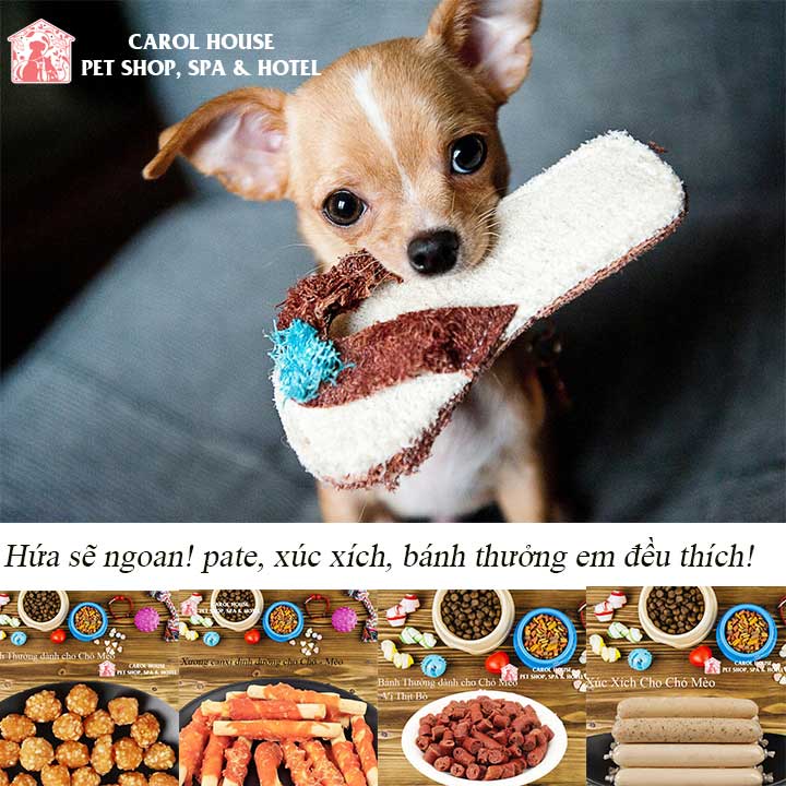 [HCM] SNACK BÁNH THƯỞNG CHÓ MÈO GÓI 100GR