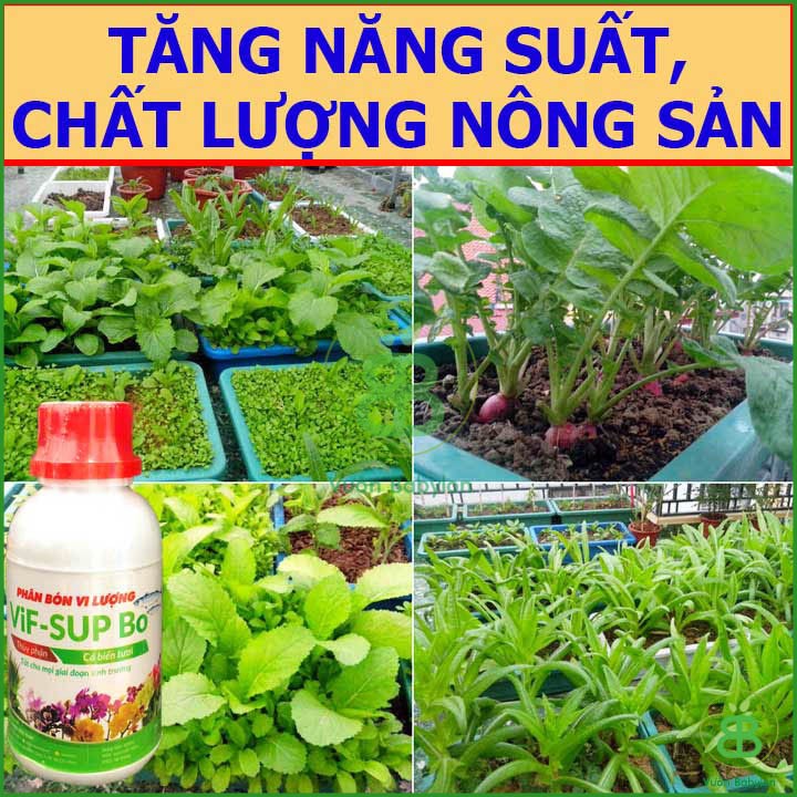 VIF-SUP Phân Bón Vi Lượng – 250ml