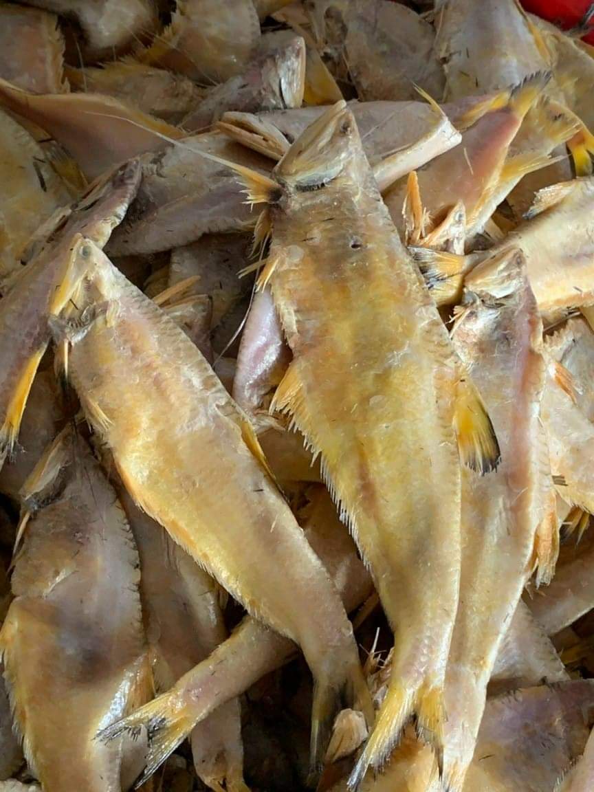 Khô Cá Lẹp Vàng Chất Lượng