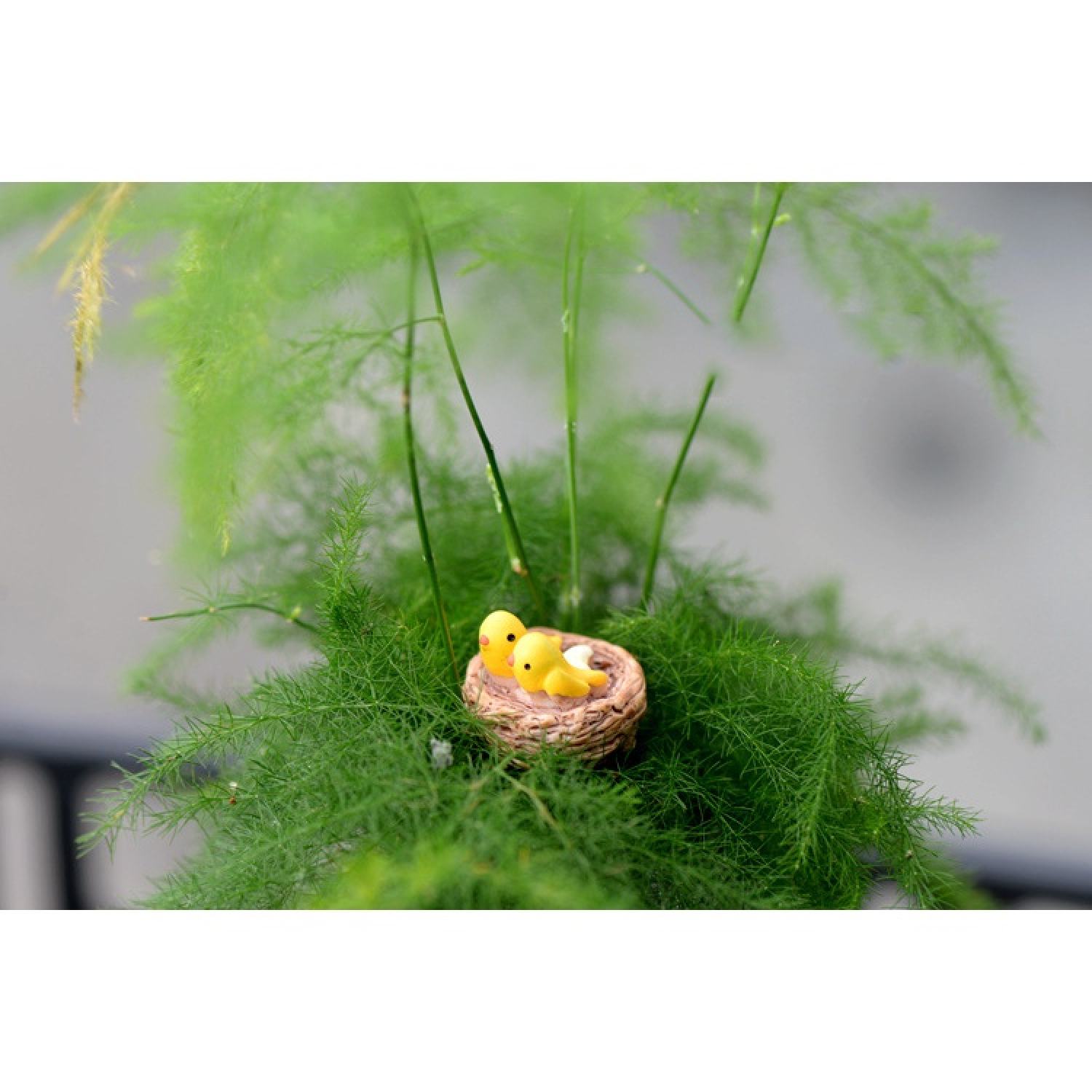 Tổ chim mini trang trí tiểu cảnh, sen đá, terrarium