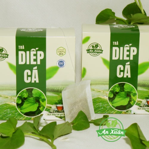 Trà diếp cá - An Xuân