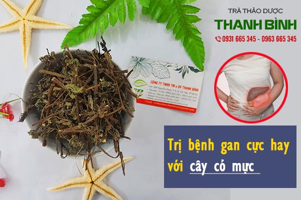 Cây Cỏ Mực Khô 1KG - Đông Y Thanh Bình