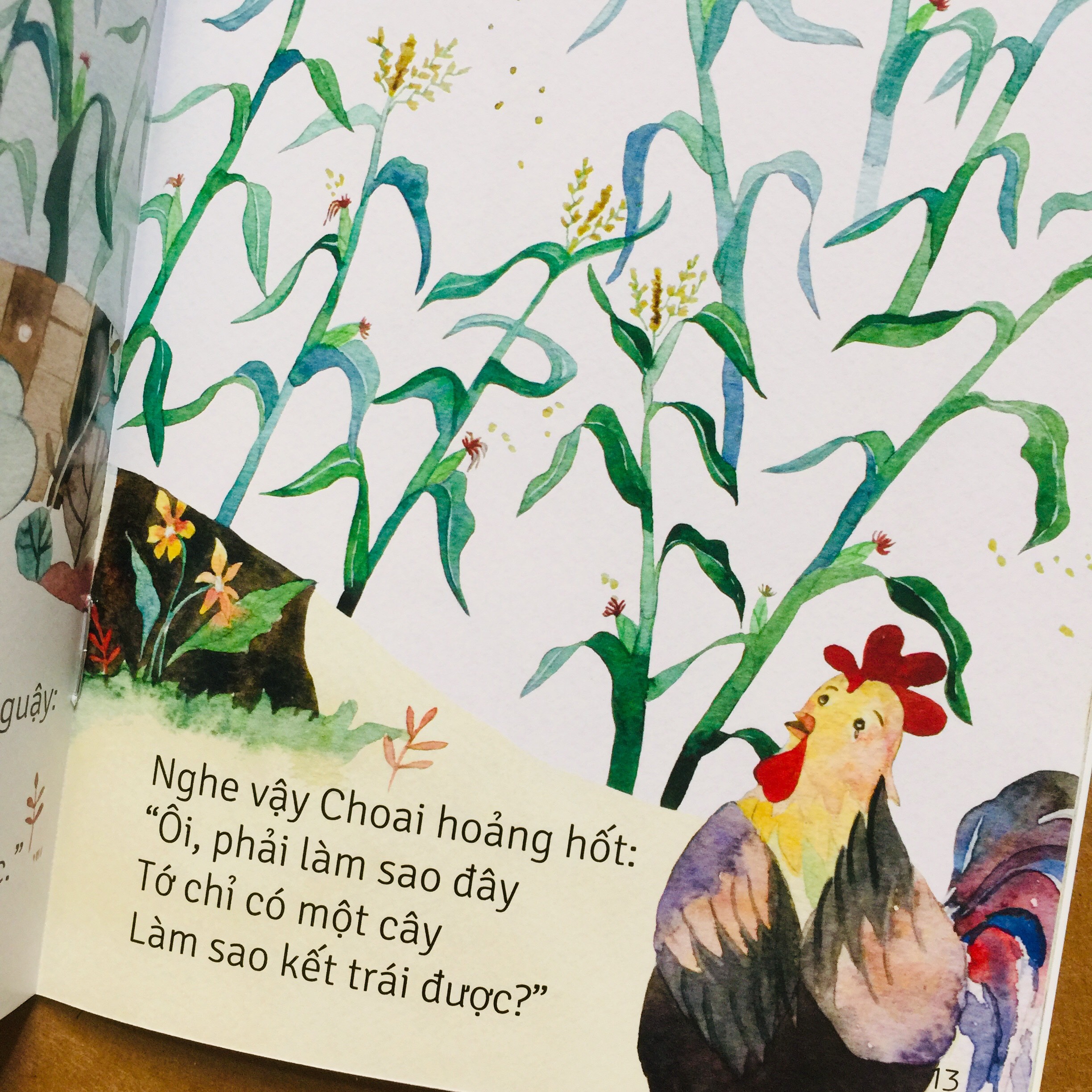 Sách - Từ Những Hạt Mầm – Trọn bộ 5 cuốn