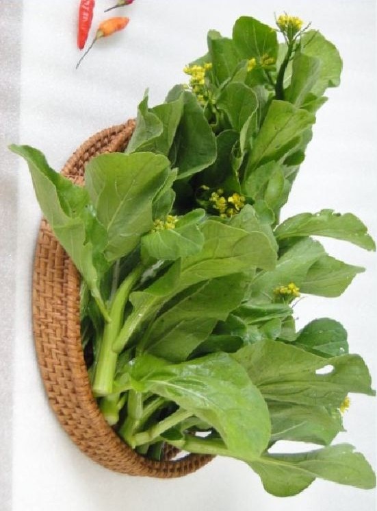 Hạt giống rau Cải ngồng Mập - gói 20gram