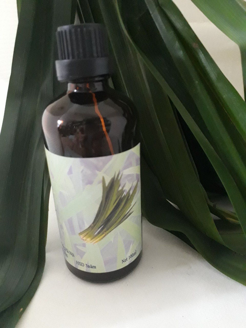Tinh dầu Lá Nếp thơm Lọ 100ml