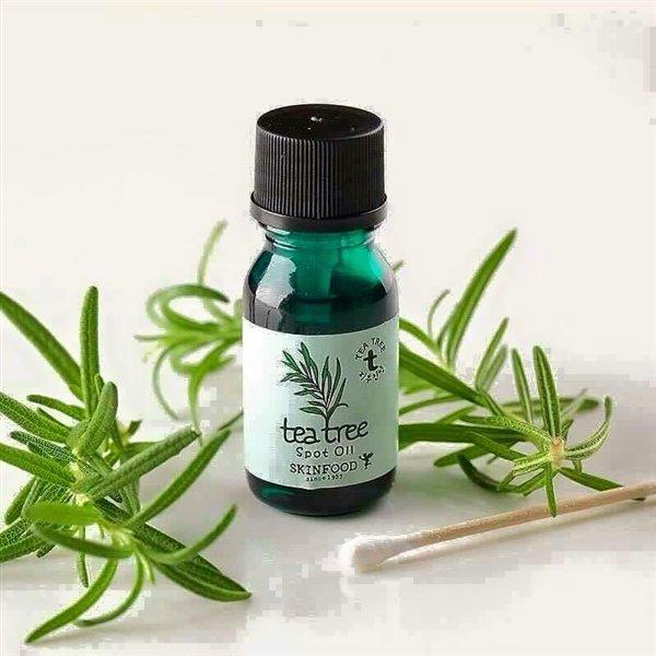 tinh dầu trà tràm 10ml