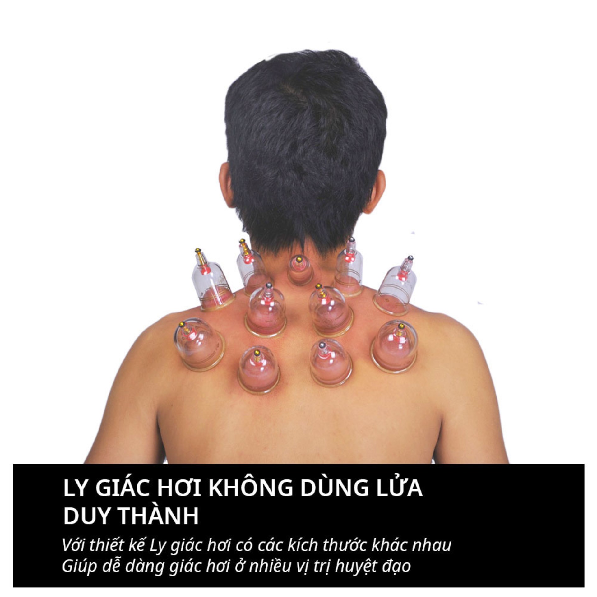 Ly giác hơi xuất khẩu S1