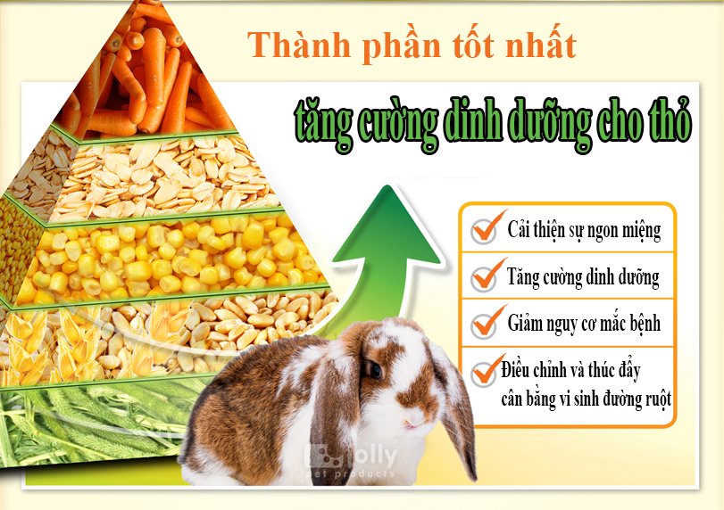 Thức Ăn Cho Thỏ Lớn Nhiều Vitamin Fullvit 1kg