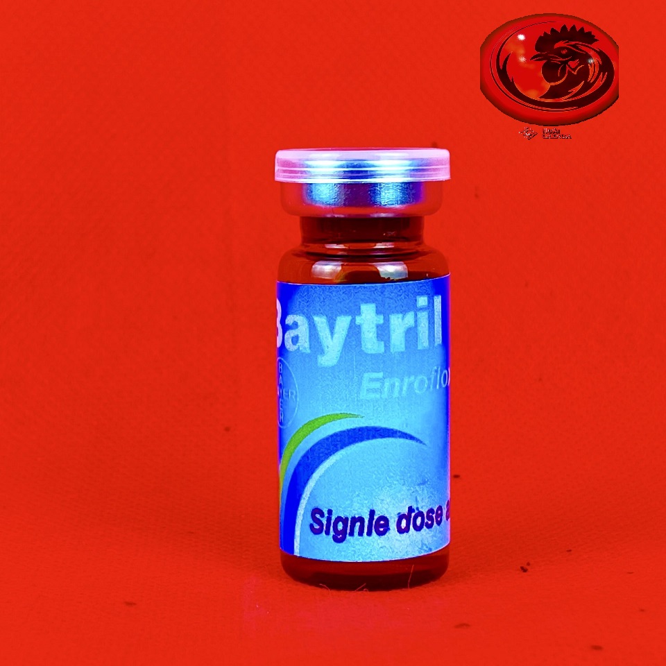 BAYTRILL MAX 10% khò khè, tiêu chảy gà đá 10ml