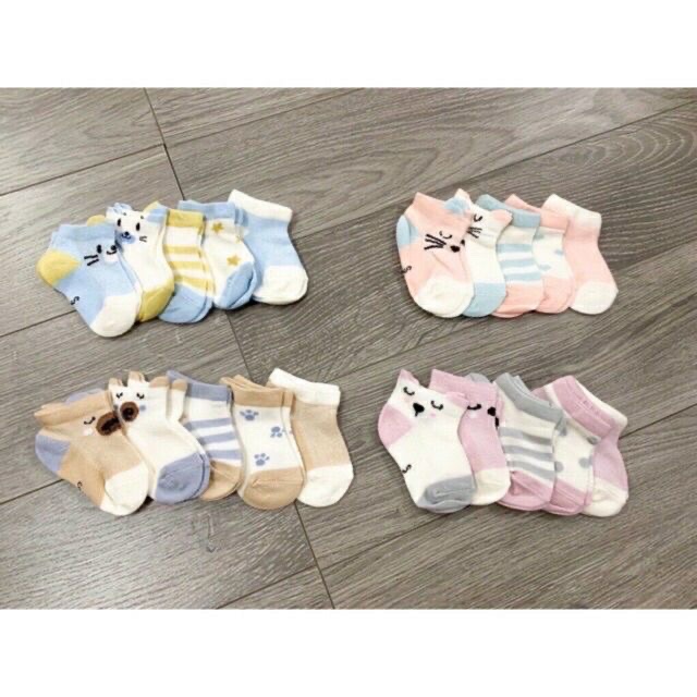 Set 5 đôi tất đáng yêu cho bé ( tất hình mèo)
