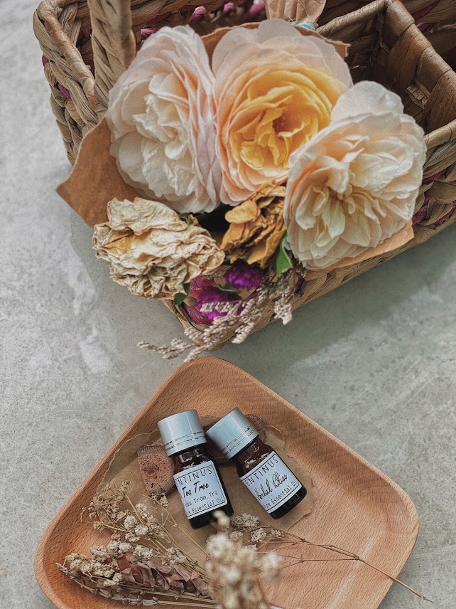 TINH DẦU TRÀM TRÀ - TEA TREE