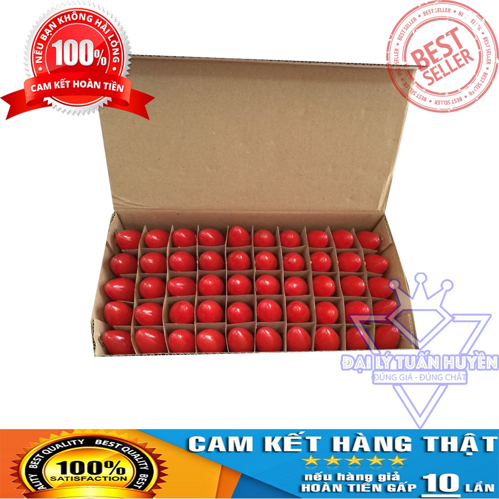 Bóng đèn quả nhót đỏ - Loại đẹp