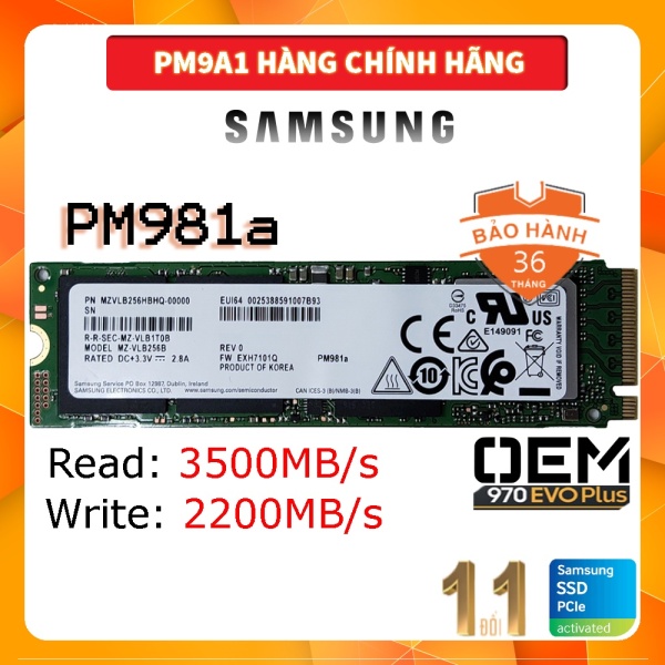 Ổ Cứng SSD Samsung PM981a 256GB - M2 2280 NVMe PCIe Gen 3 x4 - OEM 970 Evo Plus