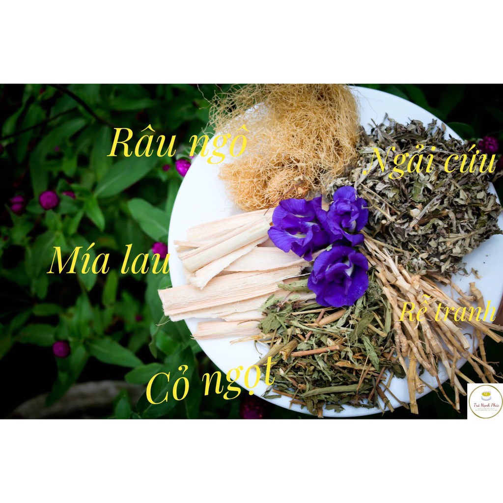 Combo 10 gói Trà ngãi cứu ngũ vị