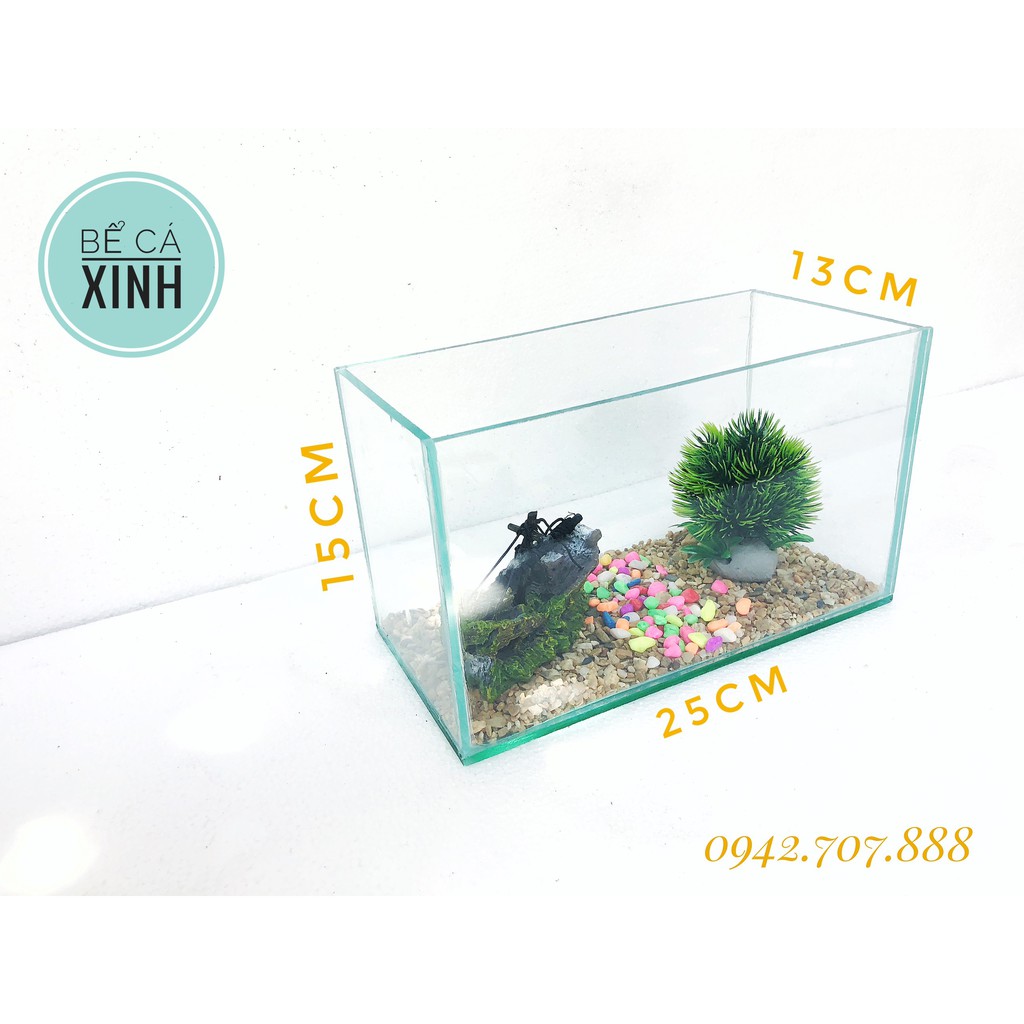 Bể cá mini + phụ kiện cây+ tàu + sỏi + thức ăn