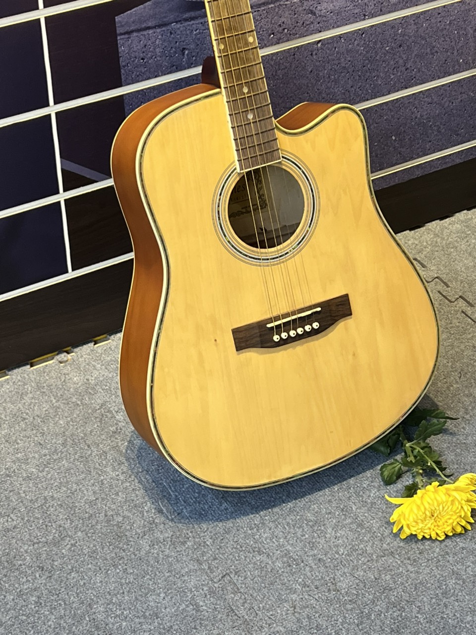 Đàn guitar Acoustic Vines VA4125N Chính Hãng