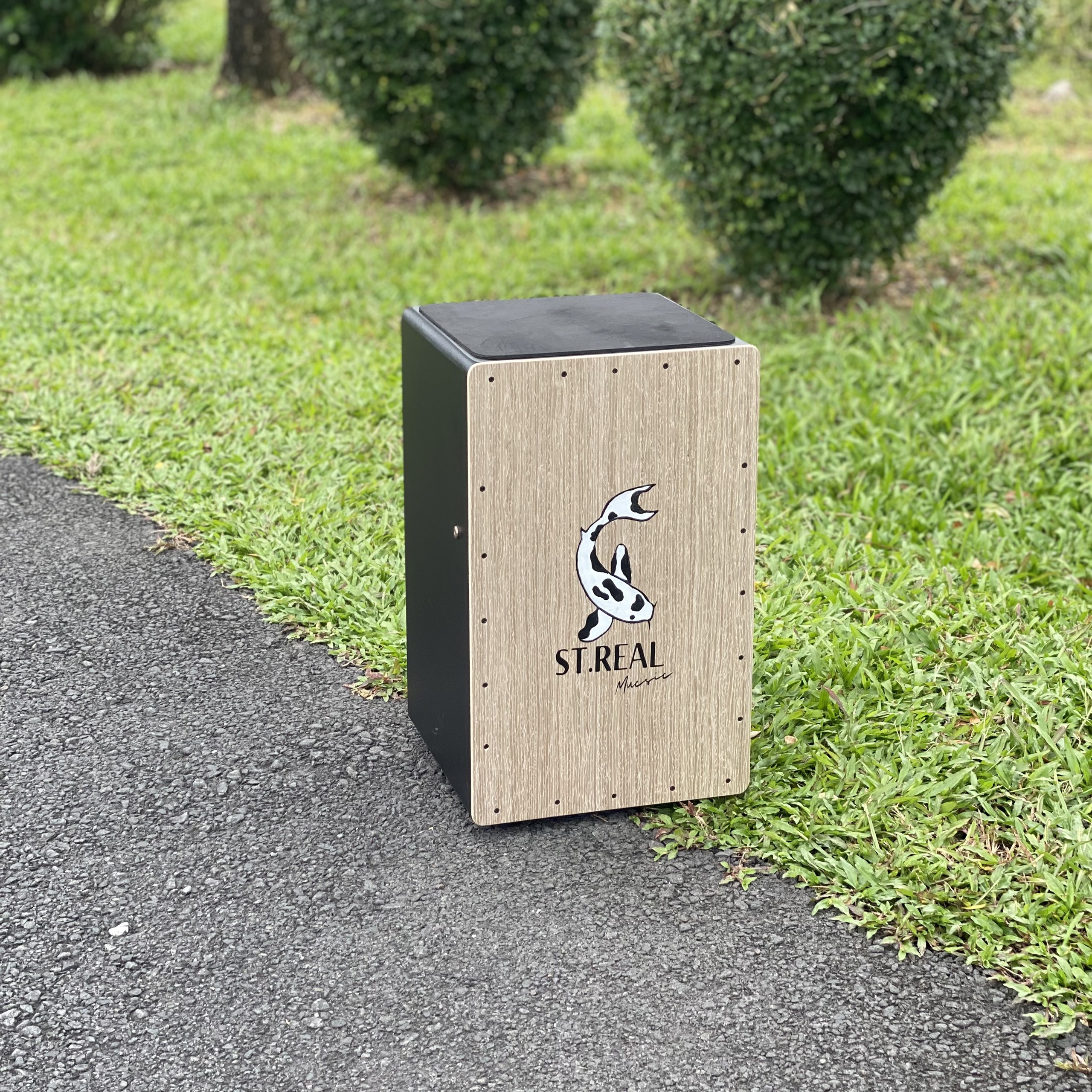 Trống Cajon KOI SHIRO - Tặng Miếng Lót