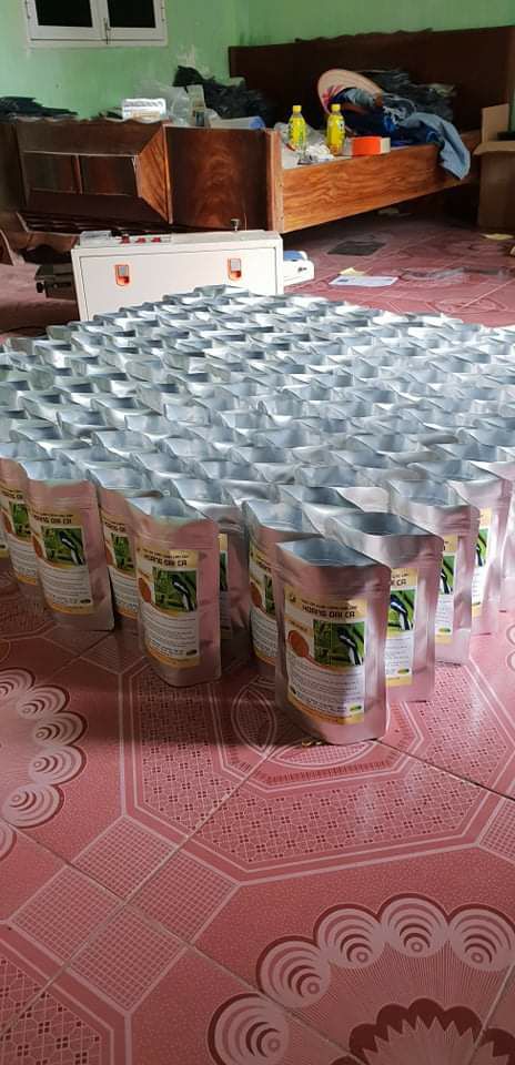 CÁM CHẤT CHÍCH CHÒE LỬA, ĐẤT HOÀNG ĐẠI CA