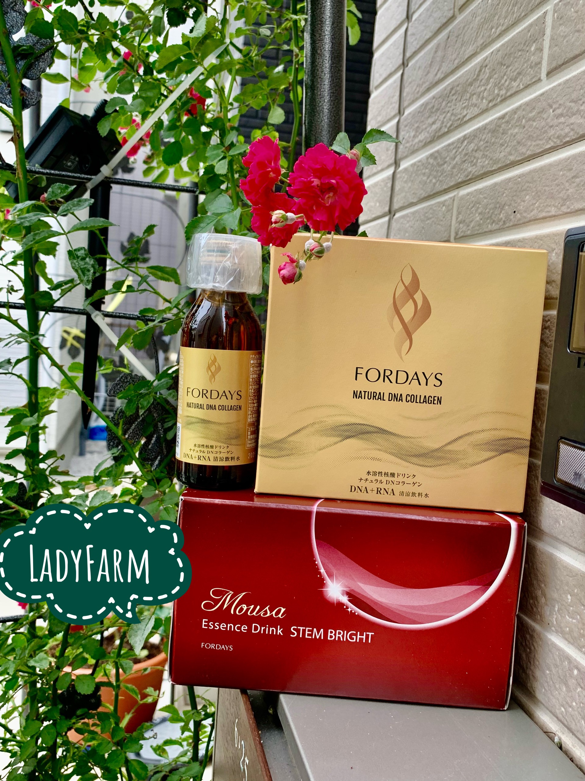 フォーデイズ 核酸ドリンク 3本セット フォーデイズ核酸ドリンク