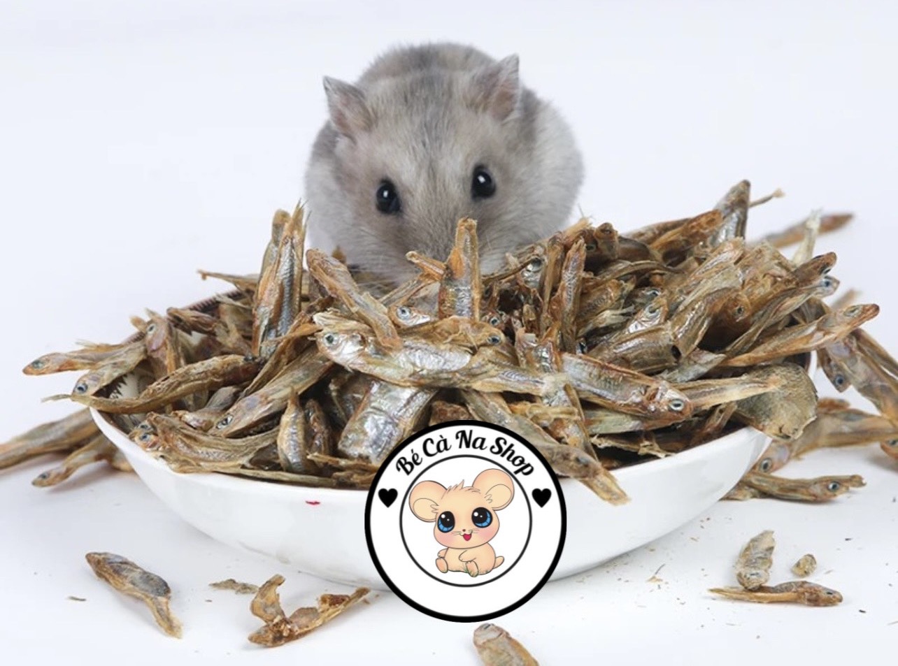 Cá sấy cho hamster . (bé cà na) Thức ăn cho hamster , thỏ , bọ ,sóc ...