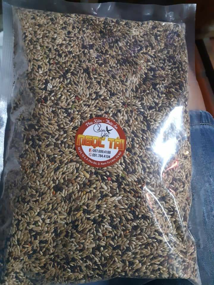 hạt trộn chim yến