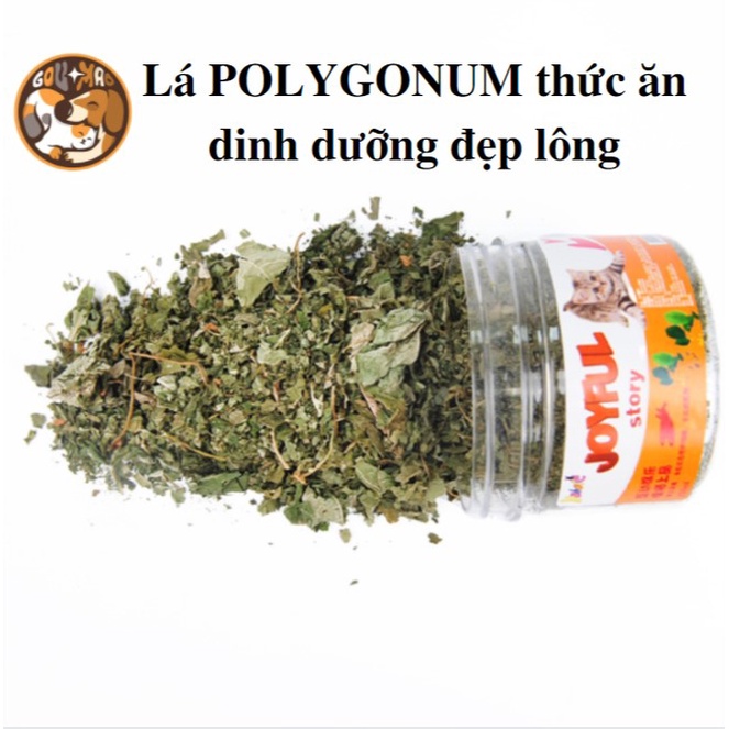 cỏ dành cho mèo