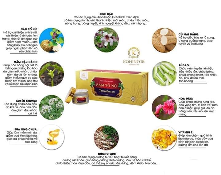 SÂM TỐ NỮ PUECOLAZEN