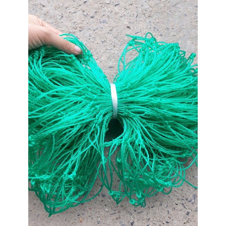 Lưới giàn leo, lưới trồng bầu bí (kích thước 4x4m mắt 20x20cm sợi to màu xanh ngọc)
