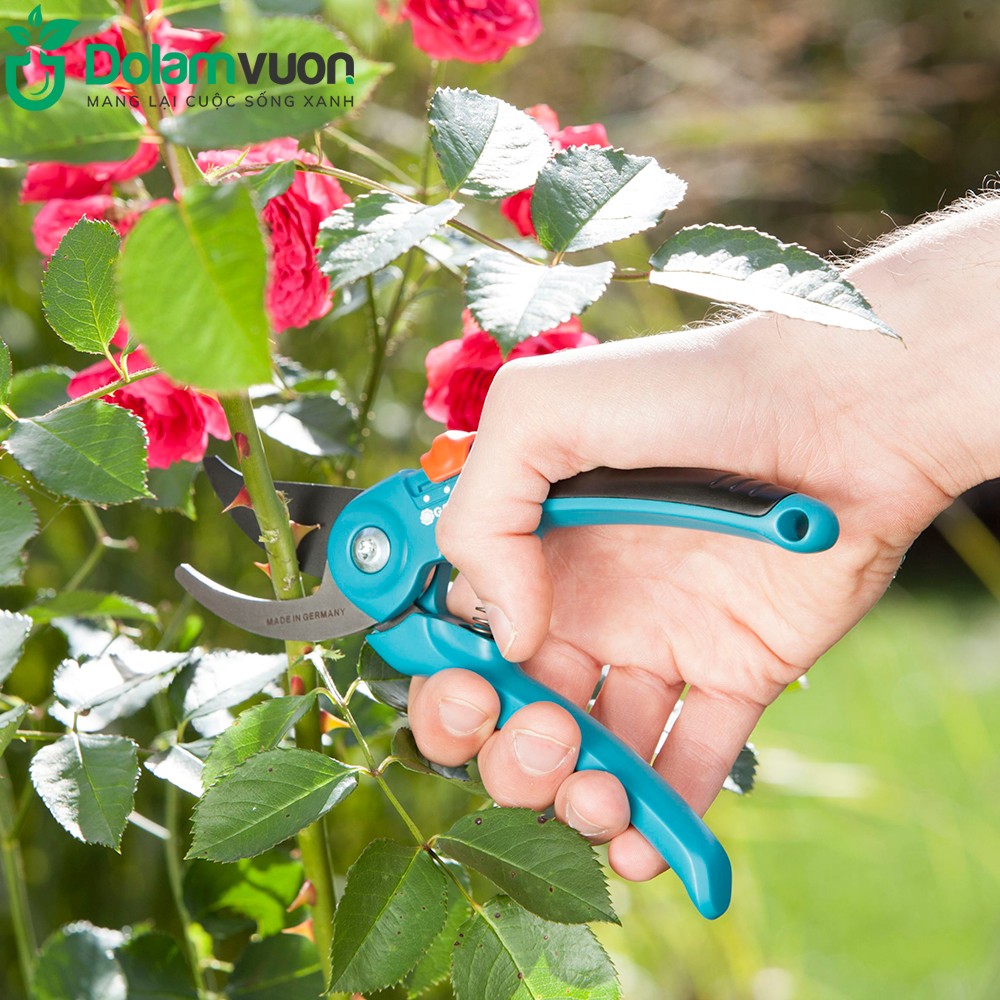 Kìm cắt cành cổ điển Gardena 08857-20