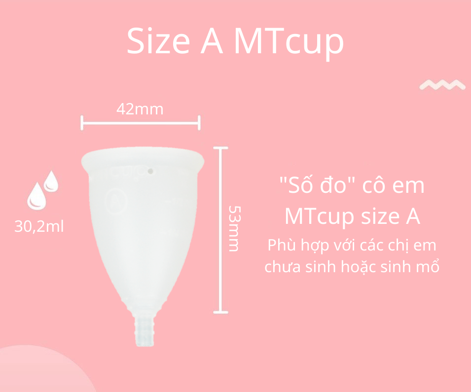 Combo Cốc nguyệt san + Nước rửa cốc