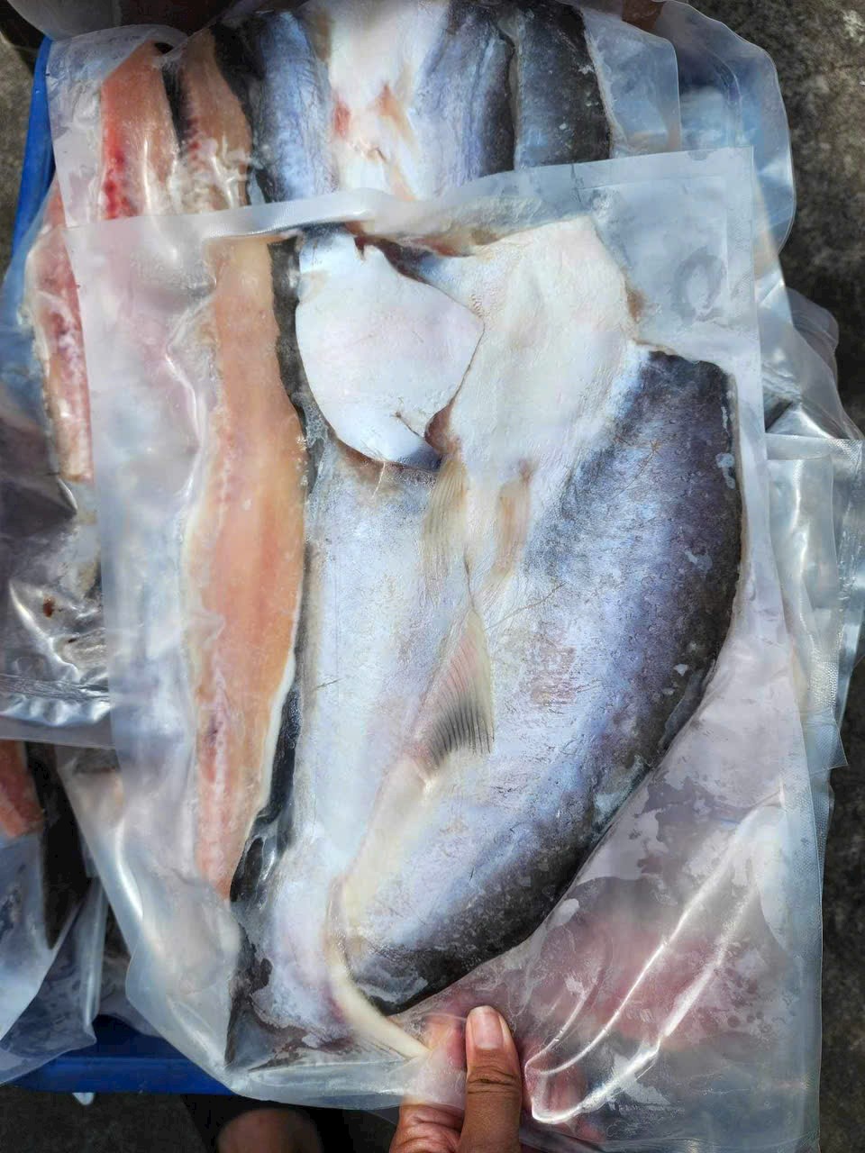 1kg KHÔ CÁ DỨA 1 NẮNG LOẠI NGON