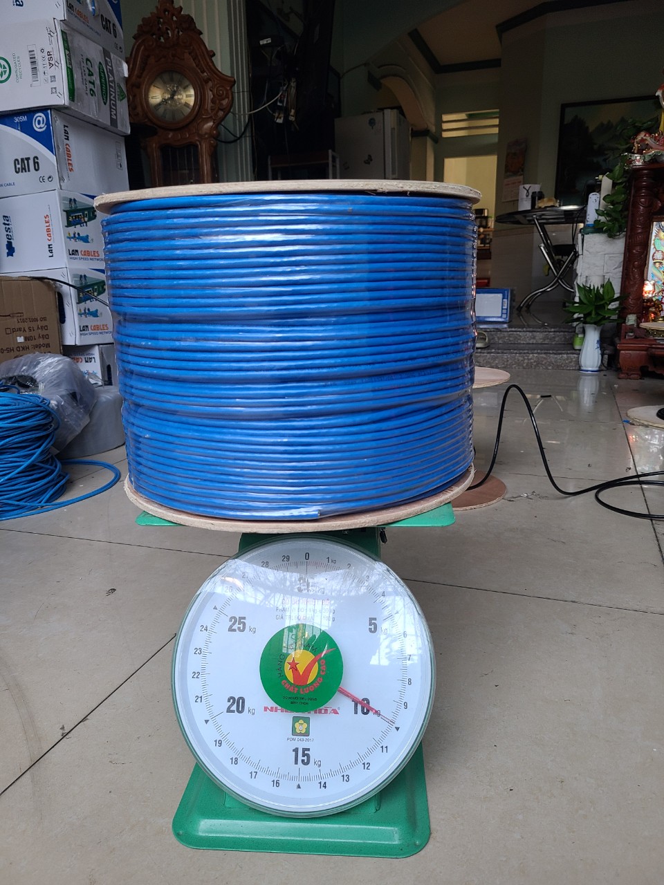 10m đến 50m Cáp Mạng VP-Link CAT6A tốc độ cao